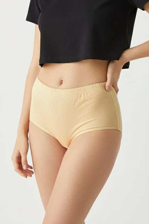 Women's Leak Protection Panty ( Period Panty )