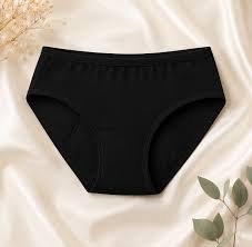 Women's Leak Protection Panty ( Period Panty )